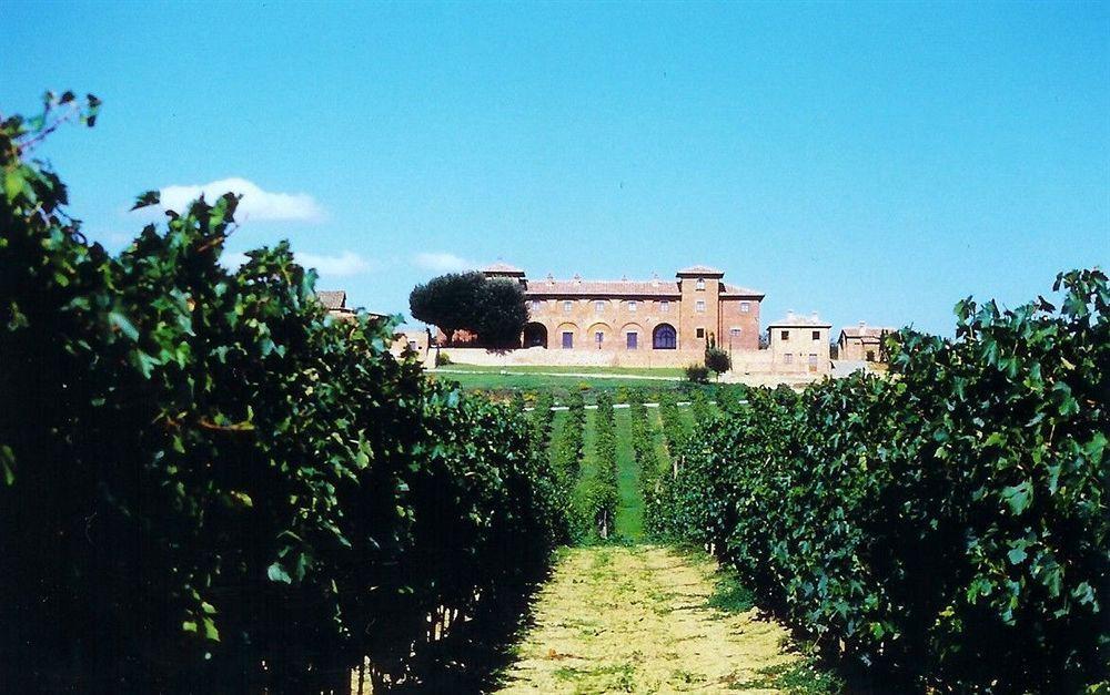 Agriturismo Terra Rossa Valiano ภายนอก รูปภาพ