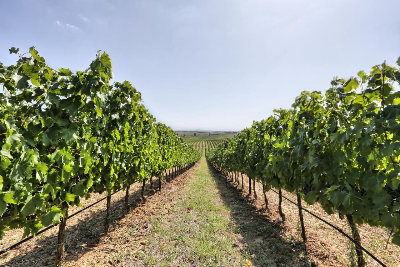 Agriturismo Terra Rossa Valiano ภายนอก รูปภาพ
