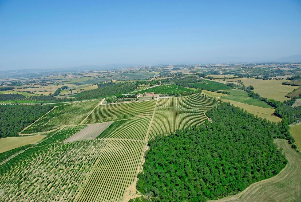 Agriturismo Terra Rossa Valiano ภายนอก รูปภาพ