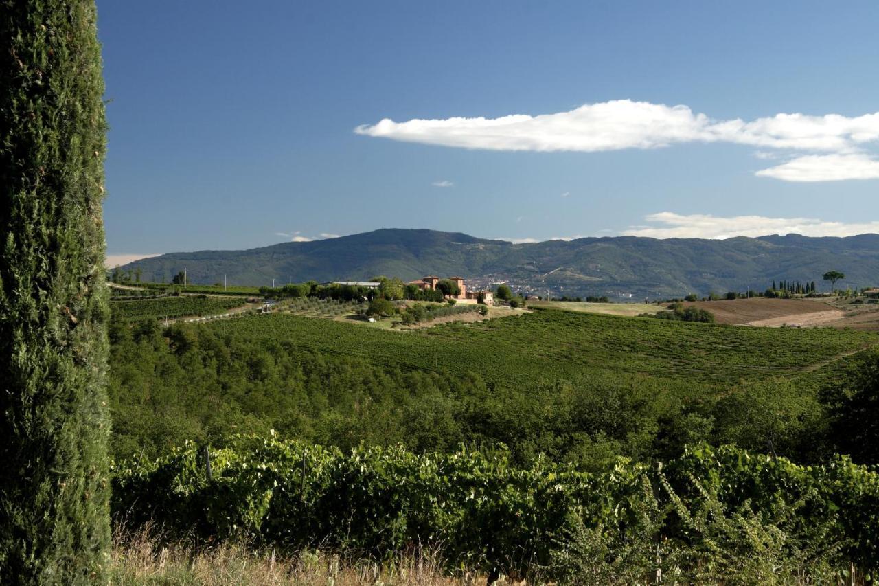 Agriturismo Terra Rossa Valiano ภายนอก รูปภาพ